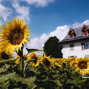 124 Preset Lightroom Giả Lập Film Cổ Điển – Fujifilm, Kodak, Agfa, Ilford (XMP) 16 Polaroid 690