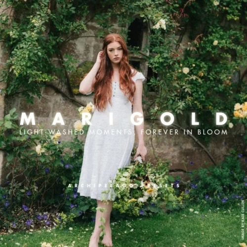 Preset Film Look Lấy Cảm Hứng Từ Kodak Gold – Dành Cho Ảnh Chân Dung & Ngoài Trời (XMP)