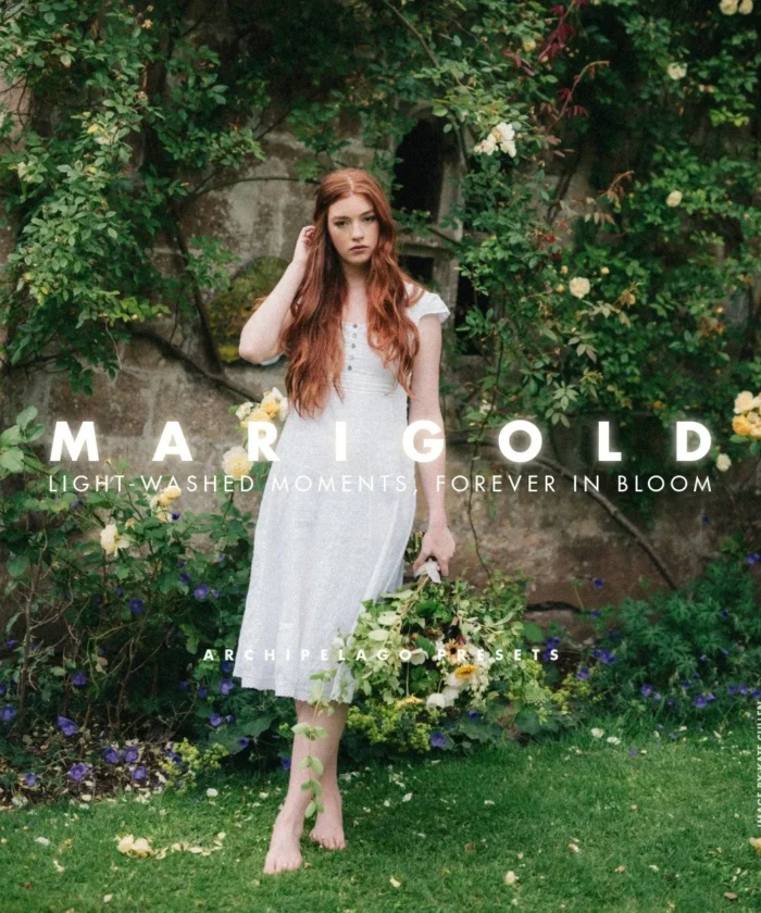 Preset Film Look Lấy Cảm Hứng Từ Kodak Gold – Dành Cho Ảnh Chân Dung & Ngoài Trời (XMP)