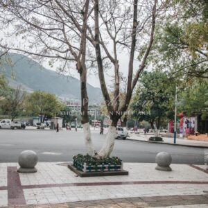 Bộ Preset Lightroom Nhật Bản – Tông Màu Điện Ảnh & Cảm Xúc (XMP/DNG) 18 shopthietke com 021