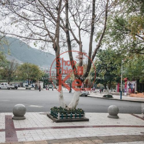 Bộ Preset Lightroom Nhật Bản – Tông Màu Điện Ảnh & Cảm Xúc (XMP/DNG) 18 shopthietke com 021