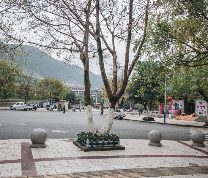 Bộ Preset Lightroom Nhật Bản – Tông Màu Điện Ảnh & Cảm Xúc (XMP/DNG)