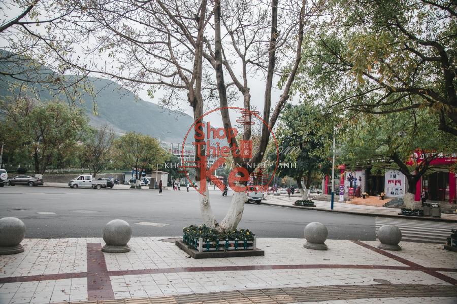 Bộ Preset Lightroom Nhật Bản – Tông Màu Điện Ảnh & Cảm Xúc (XMP/DNG) 10 shopthietke com 021