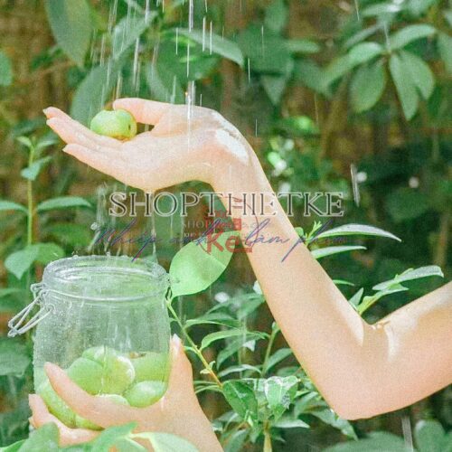 25 Preset Lightroom Nhật Bản Trẻ Trung Trong Trẻo Cho Ảnh Và Video (XMP/DNG/CUBE)