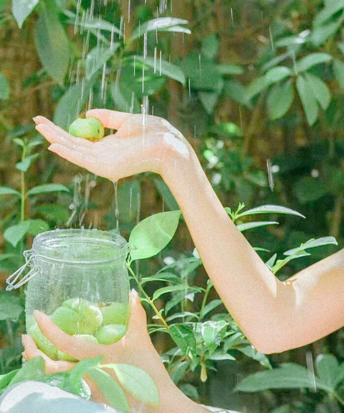 25 Preset Lightroom Nhật Bản Trẻ Trung Trong Trẻo Cho Ảnh Và Video (XMP/DNG/CUBE)