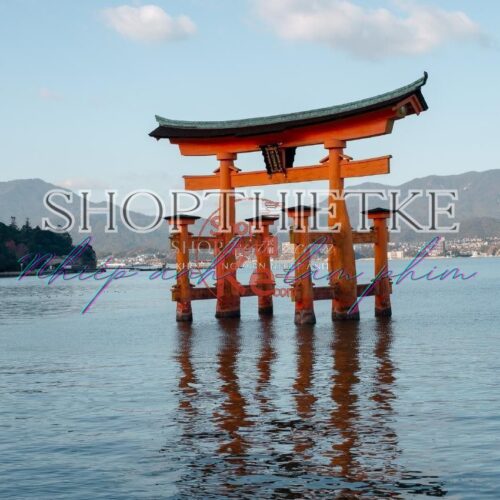 06 Preset Lightroom Du Lịch Đẹp Cho Ảnh Cafe, Street Và Phong Cảnh (XMP/DNG)