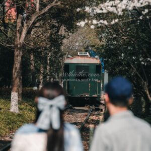 06 Preset Nhật Bản Tông Film Cổ Điển – Màu Ấm Áp & Hoài Niệm (XMP/DNG) 12 shopthietke com DSC08344