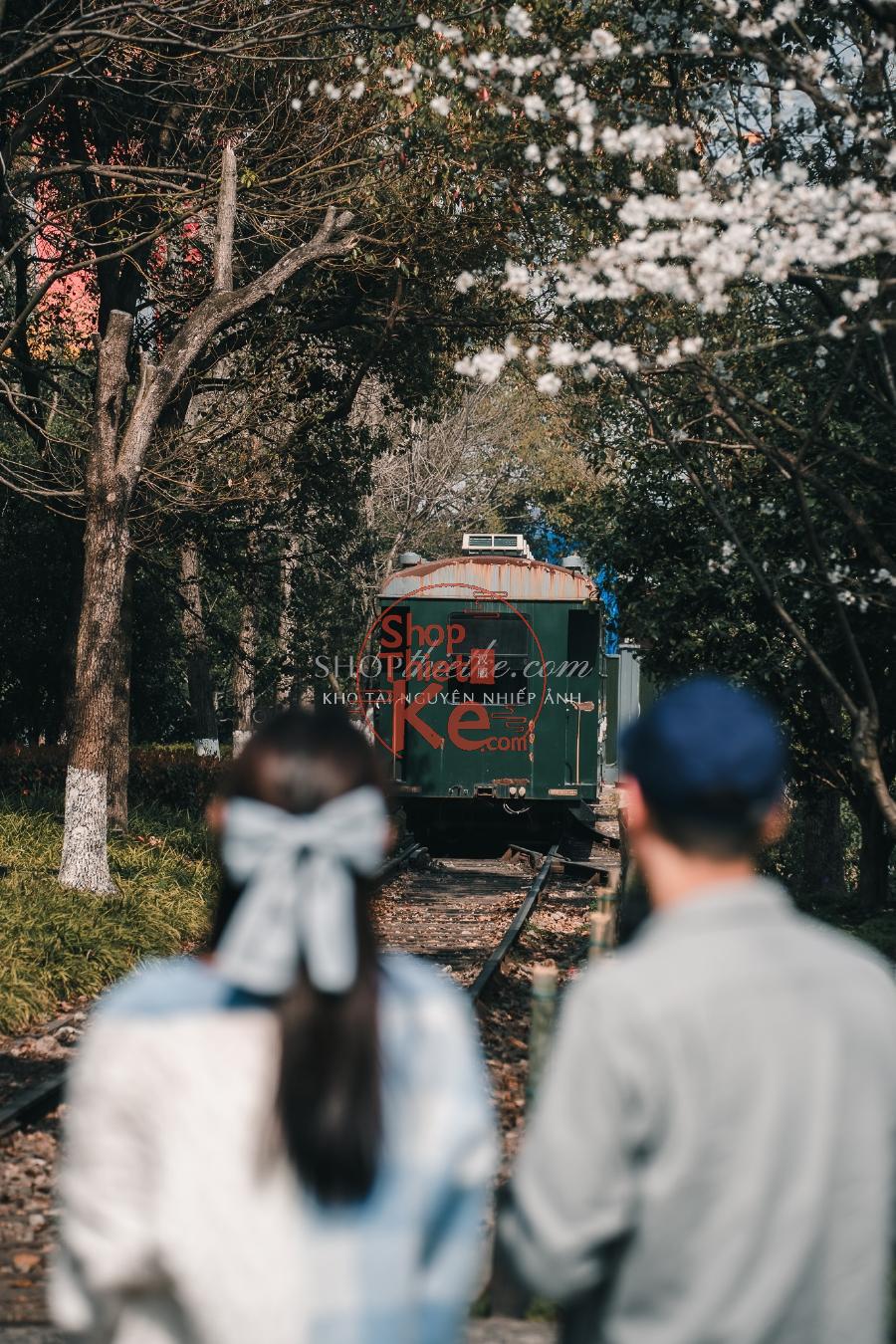 06 Preset Nhật Bản Tông Film Cổ Điển – Màu Ấm Áp & Hoài Niệm (XMP/DNG) 6 shopthietke com DSC08344