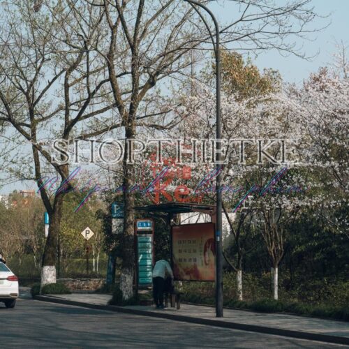 Bộ Màu Nhật Bản Đương Đại – Thiết Kế Độc Quyền Bởi Shopthietke.com | Cập Nhật Tháng 7.2025 (XMP/DNG)