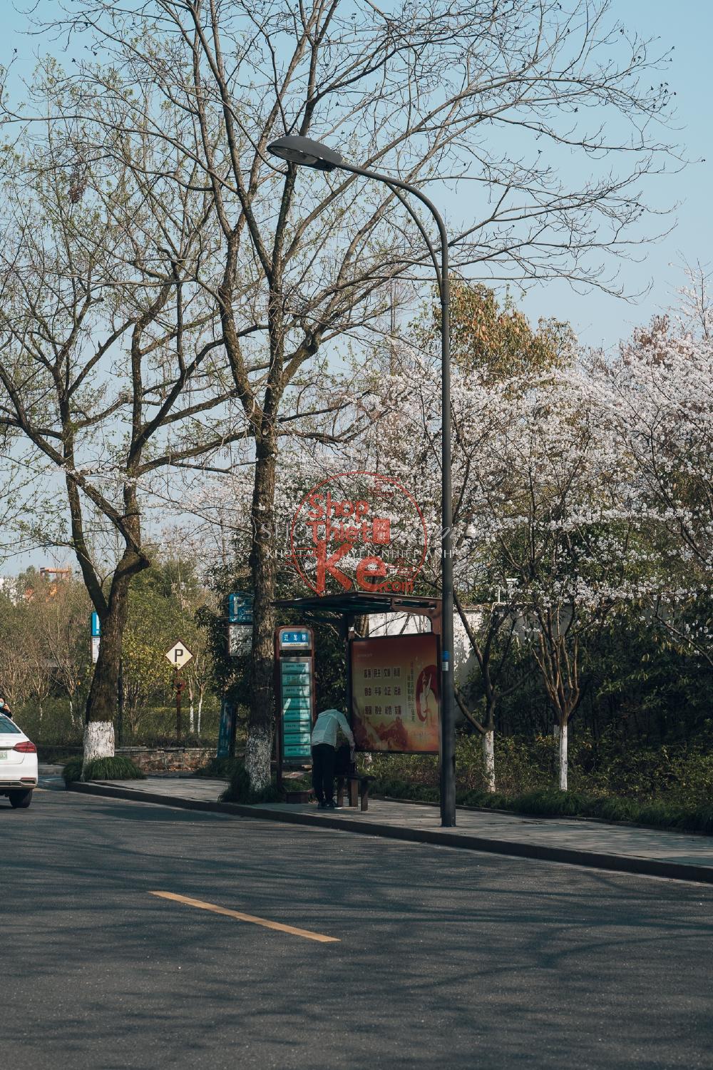 Bộ Màu Nhật Bản Đương Đại – Thiết Kế Độc Quyền Bởi Shopthietke.com | Cập Nhật Tháng 7.2025 (XMP/DNG) 9 shopthietke com DSC08402