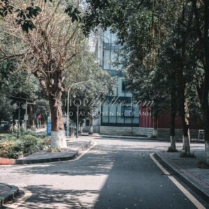 Bộ Preset Lightroom Nhật Bản – Tông Màu Điện Ảnh & Cảm Xúc (XMP/DNG) 16 shopthietke com DSCF5651