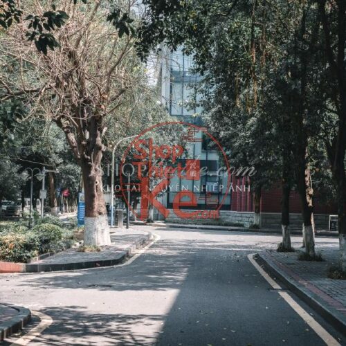 Bộ Preset Lightroom Nhật Bản – Tông Màu Điện Ảnh & Cảm Xúc (XMP/DNG) 16 shopthietke com DSCF5651