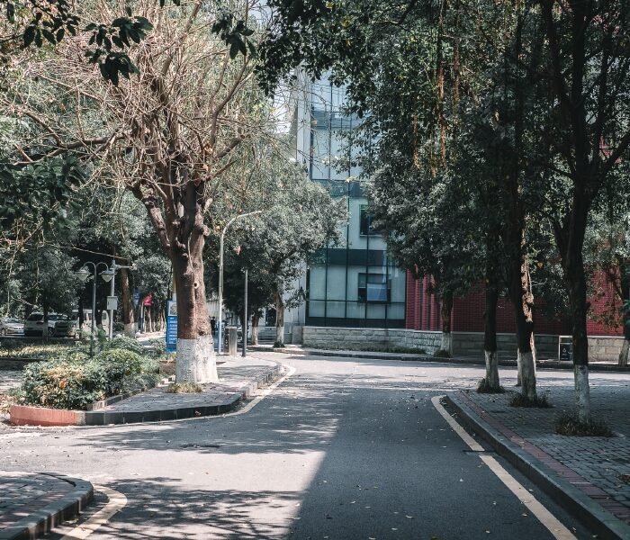 Bộ Preset Lightroom Nhật Bản – Tông Màu Điện Ảnh & Cảm Xúc (XMP/DNG)