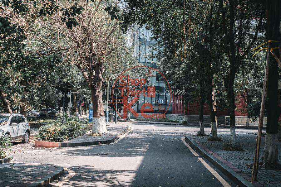 Bộ Preset Lightroom Nhật Bản – Tông Màu Điện Ảnh & Cảm Xúc (XMP/DNG) 8 shopthietke com DSCF5651