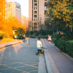 07 Preset Lightroom Nhật Bản – Tông Màu Trong Trẻo, Sáng Dịu Cho Ảnh Du Lịch (XMP/DNG)