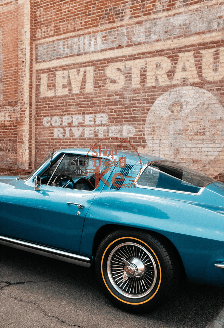 Caleb Salvadori Film Presets V7 Bộ Sưu Tập Tone Màu Film Mới Nhất 2025 (XMP) 14 shopthietke com Shopthietke.com 1