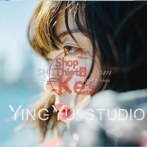 Bộ 12 Preset & LUT Nhật Bản Phong Cách Thanh Lịch – Hỗ Trợ Ảnh & Video (XMP/CUBE)