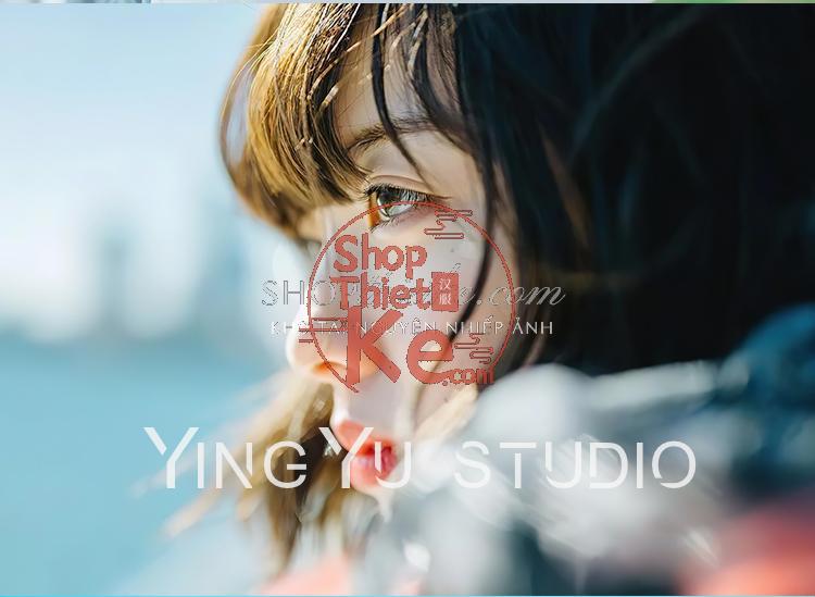 Bộ 12 Preset & LUT Nhật Bản Phong Cách Thanh Lịch – Hỗ Trợ Ảnh & Video (XMP/CUBE) 11 shopthietke com Shopthietke.com 113