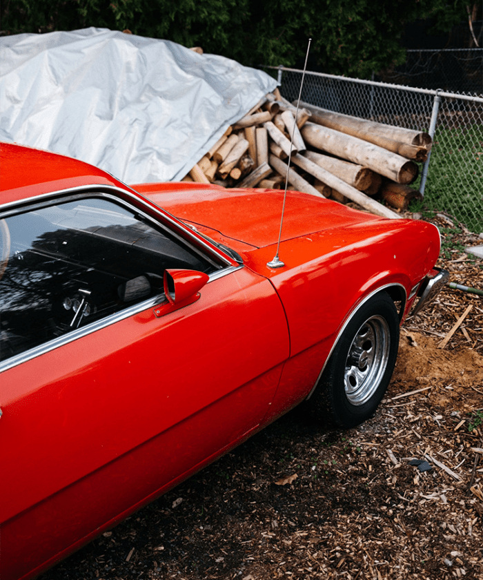 Caleb Salvadori Film Presets V7 Bộ Sưu Tập Tone Màu Film Mới Nhất 2025 (XMP)