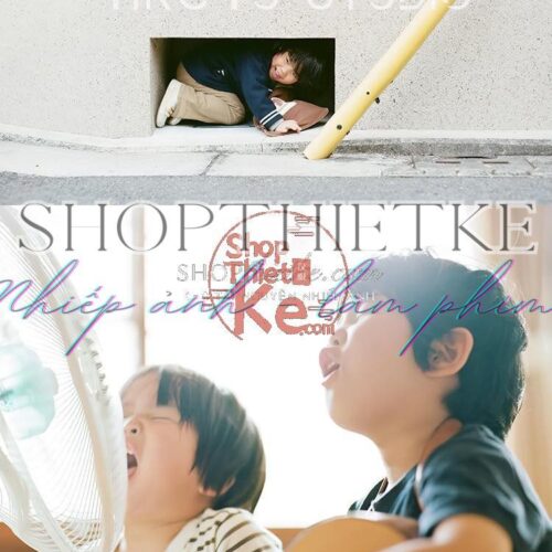 66 Preset & LUT Nhật Bản Phong Cách Trong Trẻo – Hỗ Trợ Ảnh và Video (XMP/CUBE)