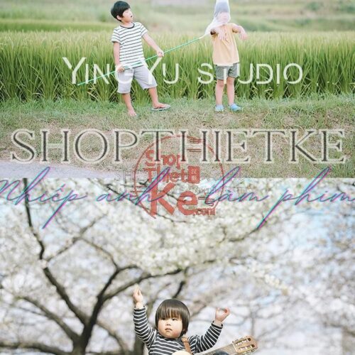 66 Preset & LUT Nhật Bản Phong Cách Trong Trẻo – Hỗ Trợ Ảnh và Video (XMP/CUBE)