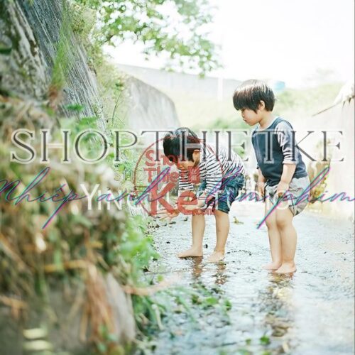 66 Preset & LUT Nhật Bản Phong Cách Trong Trẻo – Hỗ Trợ Ảnh và Video (XMP/CUBE)