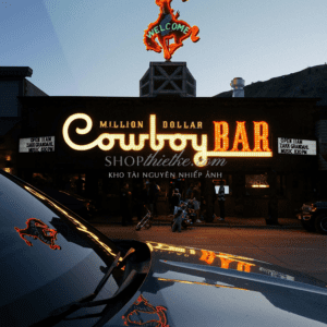 AV Film Simulations Pack 4 Màu Film – Tùy Biến Linh Hoạt Với Tool Kit (XMP) 5 shopthietke com Shopthietke.com 14