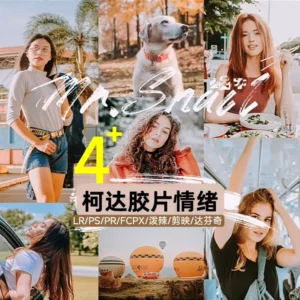 Bộ Preset & LUT Tái Hiện Phong Cách Phim Cổ Điển – 4 Phiên Bản Màu Cảm Xúc (XMP/CUBE)