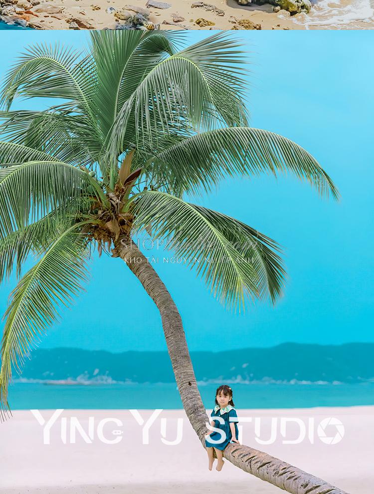 shopthietke com Shopthietke.com 209