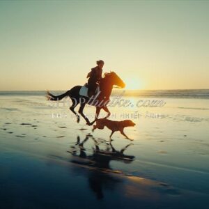 Bộ LUT Cinematic Secret Sauce V2 – Tái Hiện Chất Film Analog Cho Video (CUBE)