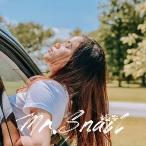 Bộ Preset & LUT Tái Hiện Phong Cách Phim Cổ Điển – 4 Phiên Bản Màu Cảm Xúc (XMP/CUBE)