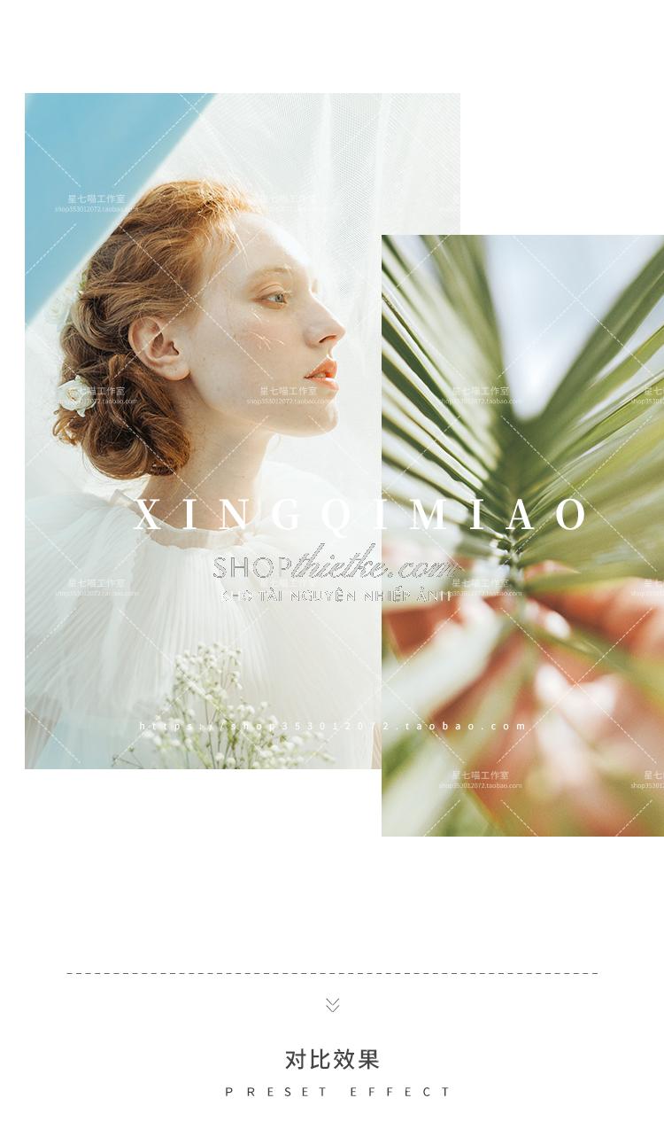 shopthietke com Shopthietke.com 284