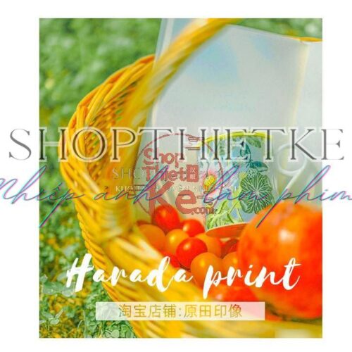 Preset Lightroom Manga Nghệ Thuật 19 Tone Trong Trẻo Cho Ảnh Phong Cảnh (XMP/DNG/CUBE)