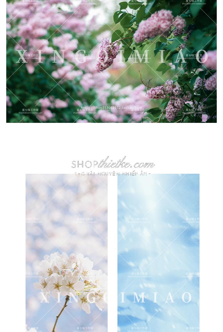shopthietke com Shopthietke.com 304