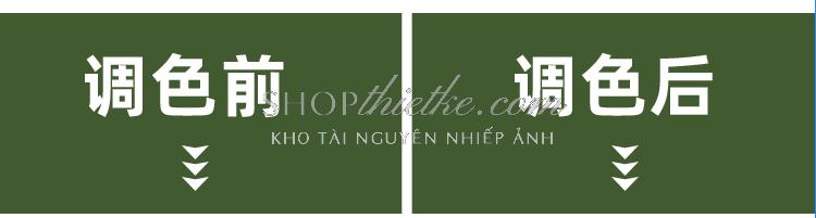 shopthietke com Shopthietke.com 324