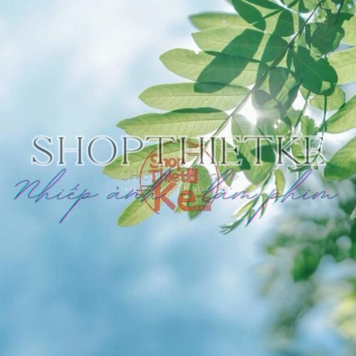 Bộ Preset Lightroom Fuji 100 – Giả Lập Màu Film Nhật Bản (XMP)