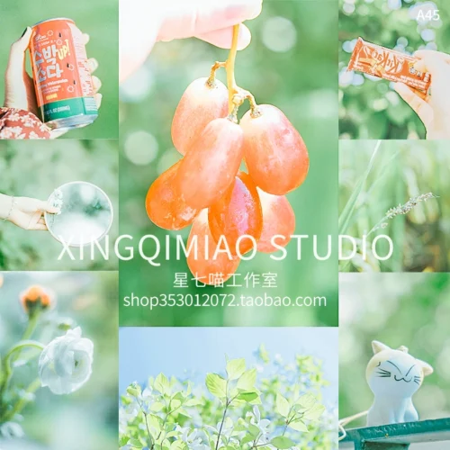 Preset Lightroom Mùa Hè Trong Trẻo Nhật Bản 27 Tone Cho Ảnh Du Lịch (XMP/DNG/CUBE)