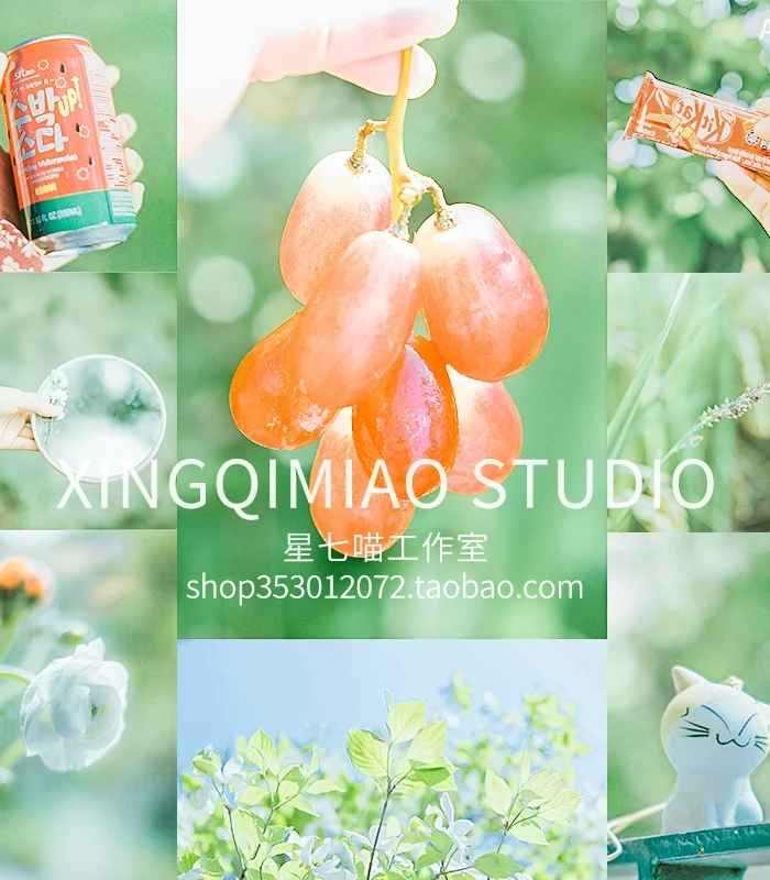 Preset Lightroom Mùa Hè Trong Trẻo Nhật Bản 27 Tone Cho Ảnh Du Lịch (XMP/DNG/CUBE)