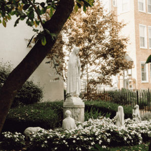 shopthietke com Shopthietke.com 6