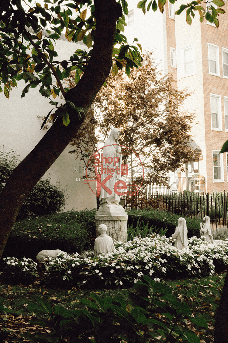 Caleb Salvadori Film Presets V7 Bộ Sưu Tập Tone Màu Film Mới Nhất 2025 (XMP) 9 shopthietke com Shopthietke.com 6