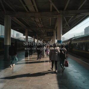 Chỉnh Ảnh Du Lịch Đẹp Hơn Với 06 Preset Lightroom Street Và Nature (XMP/DNG)