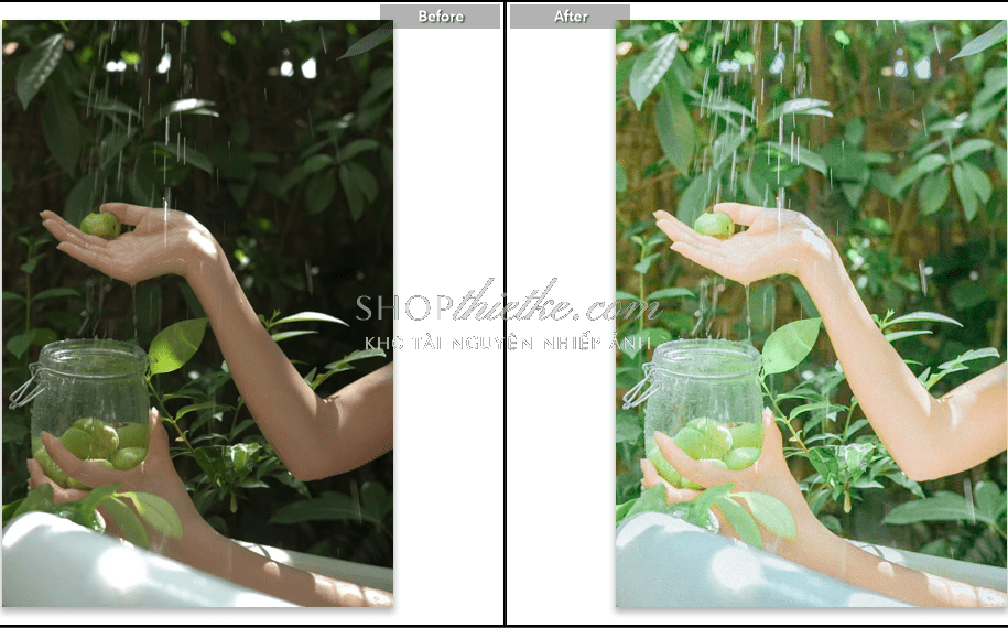 shopthietke com anh 100