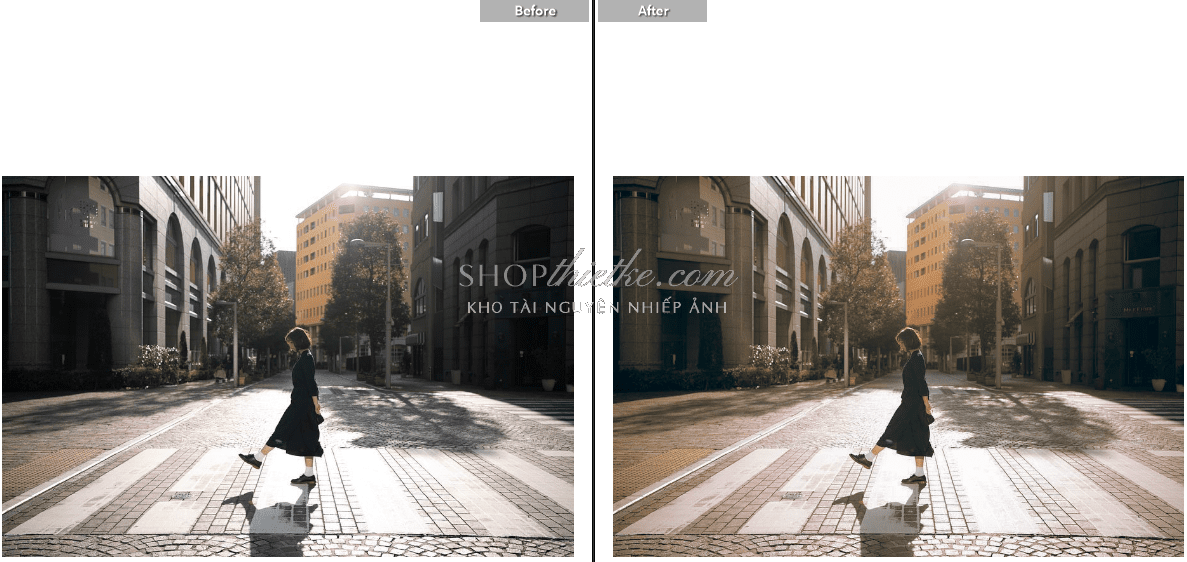 shopthietke com anh 13