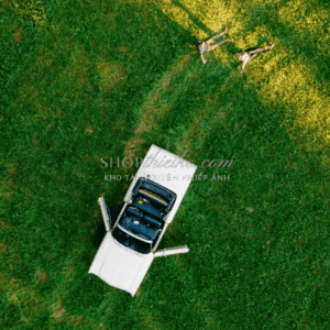 The Analog Bundle – Bộ Sưu Tập Preset Lightroom Giả Lập Film Cổ Điển (XMP) 10 shopthietke com anh 34