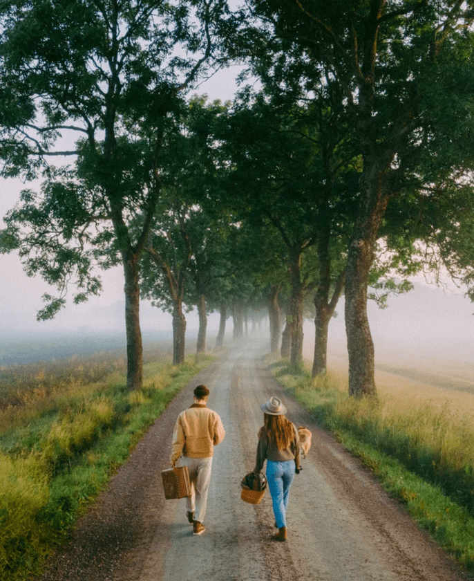 The Analog Bundle – Bộ Sưu Tập Preset Lightroom Giả Lập Film Cổ Điển (XMP)