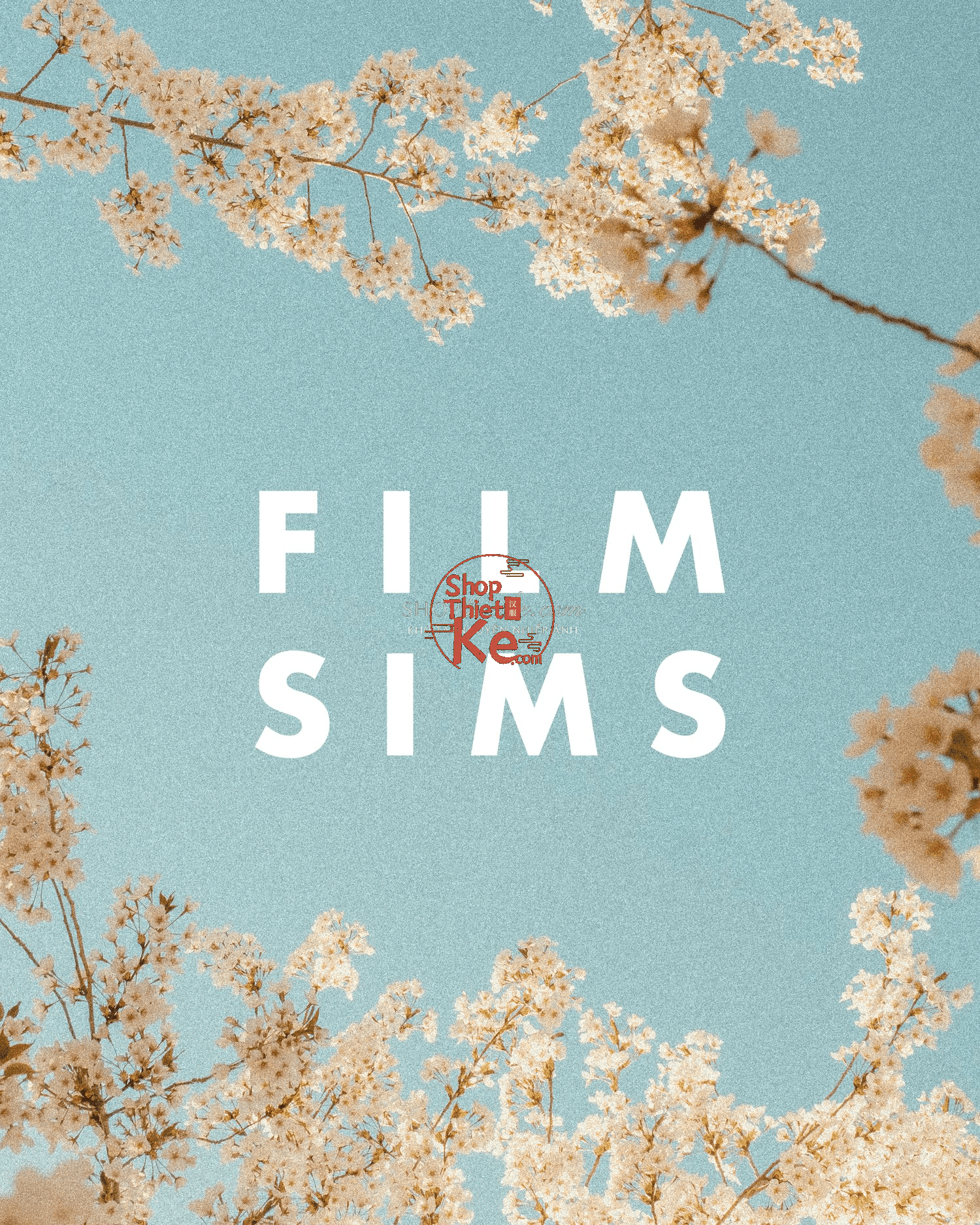 AV Film Simulations Pack 4 Màu Film – Tùy Biến Linh Hoạt Với Tool Kit (XMP) 3 shopthietke com anh 38