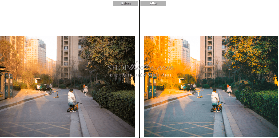 shopthietke com anh 50