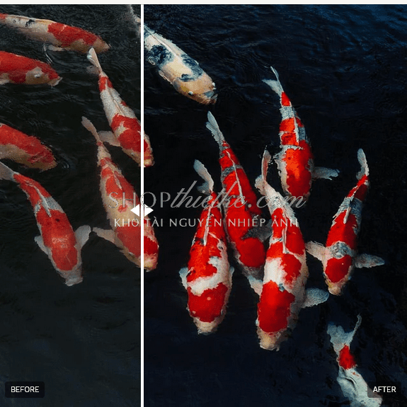 shopthietke com anh 65