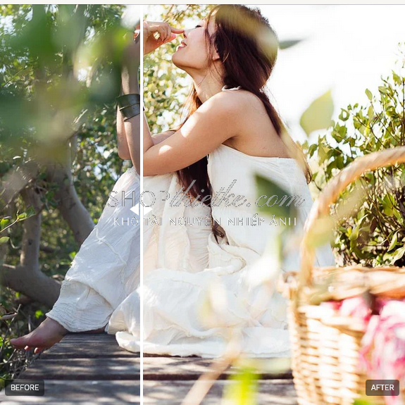 shopthietke com anh 66