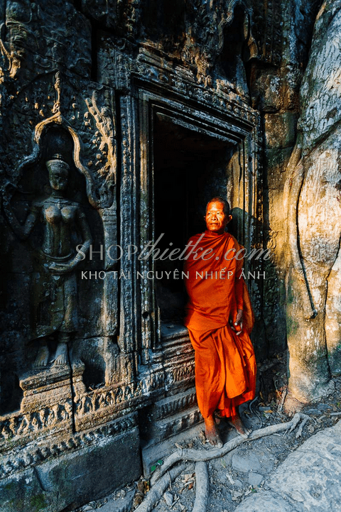 Bộ Preset Giả Lập Phim Slide Cổ Điển – Desktop Lightroom (XMP)